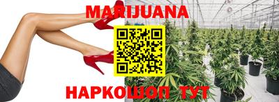 мяу мяу мука Малгобек