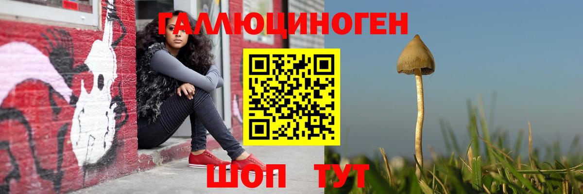 Галлюциногенные грибы ЛСД Гусь-Хрустальный